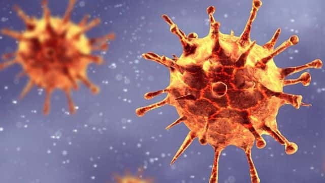 30 mindən çox yeni virus AŞKAR EDİLDİ