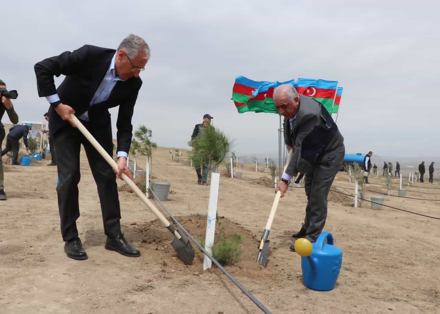 Muxtar Babayev və Əli Əsədov birlikdə ağac əkdi - FOTO